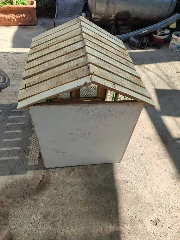 قفس|لوازم جانبی حیوانات|رفسنجان, |دیوار