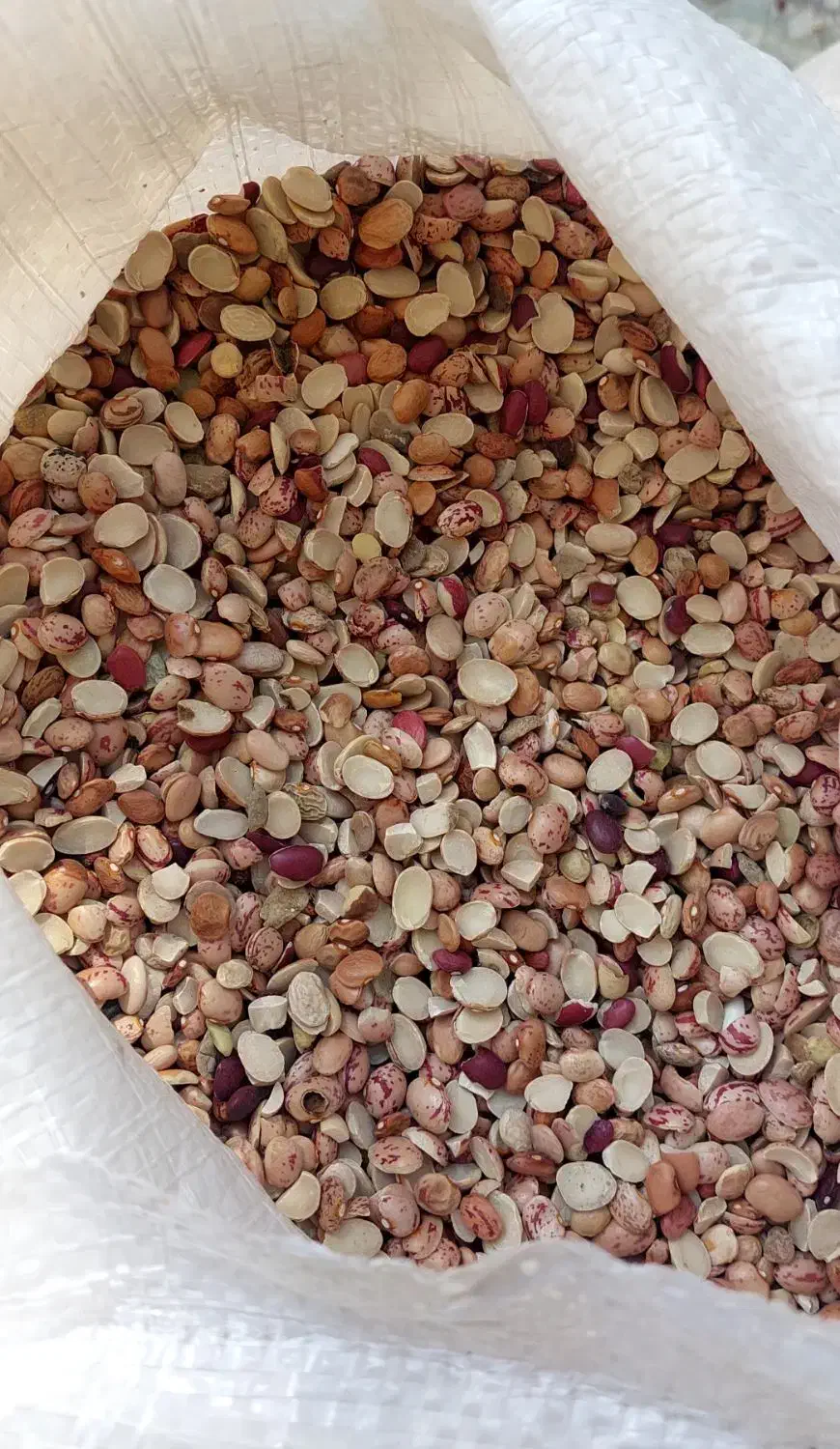 چهارتن لوبیا اش لپه به شرط|خوردنی و آشامیدنی|شیراز, کاراندیش|دیوار