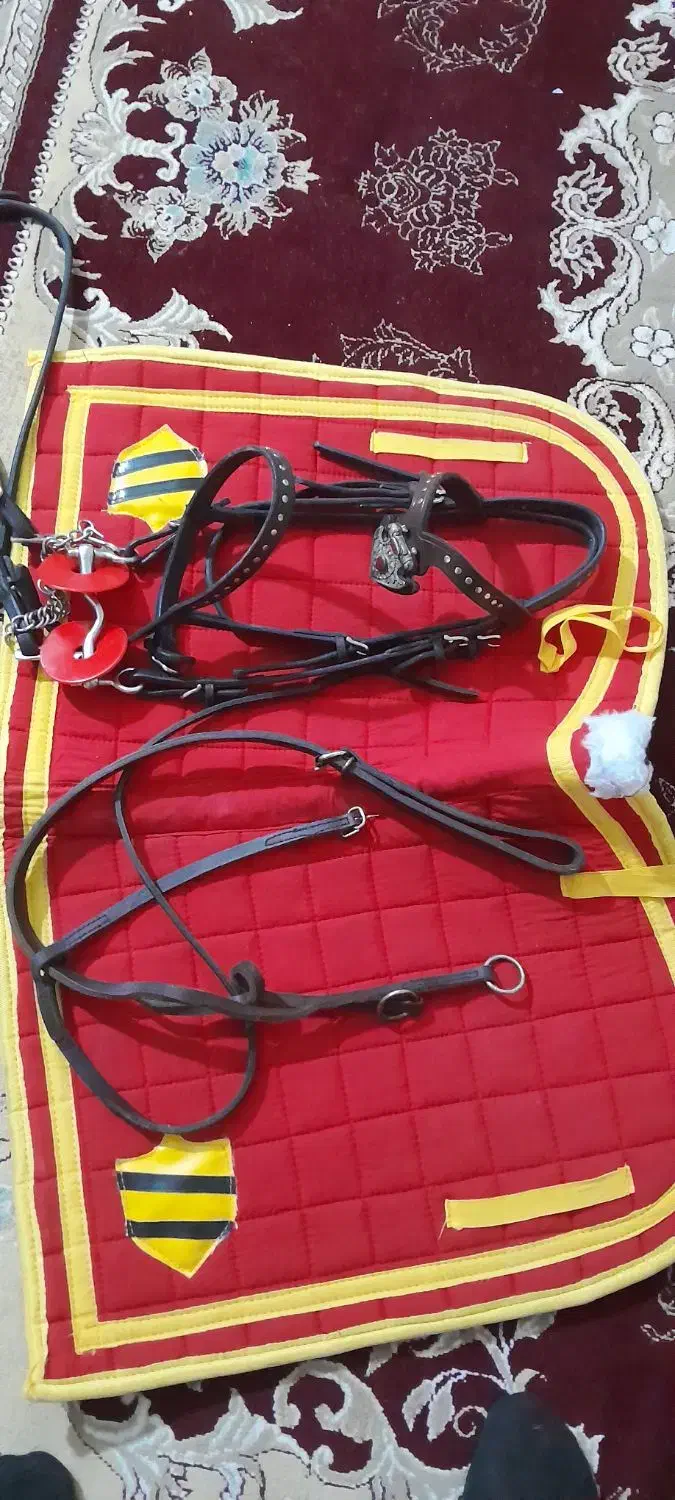 لوازم اسب|اسب و تجهیزات اسب‌سواری|اردبیل, |دیوار