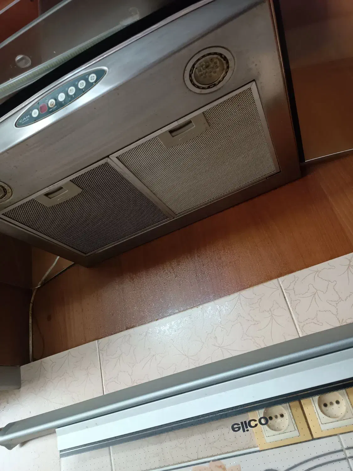 هود کن|هود|رشت, کاکتوس|دیوار