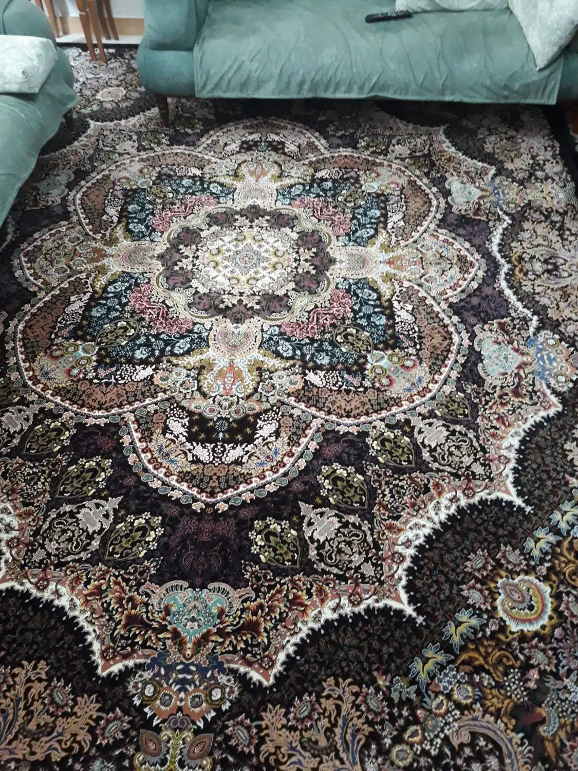 فرش پاتریس ۱۲ متری|فرش|رشت, نامجو|دیوار