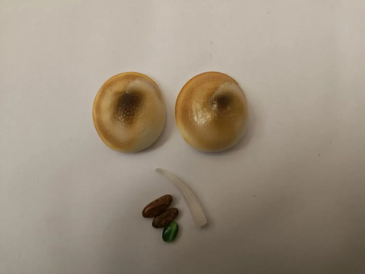 مهره|کلکسیون اشیاء عتیقه|پردیس, فاز ۱۱|دیوار