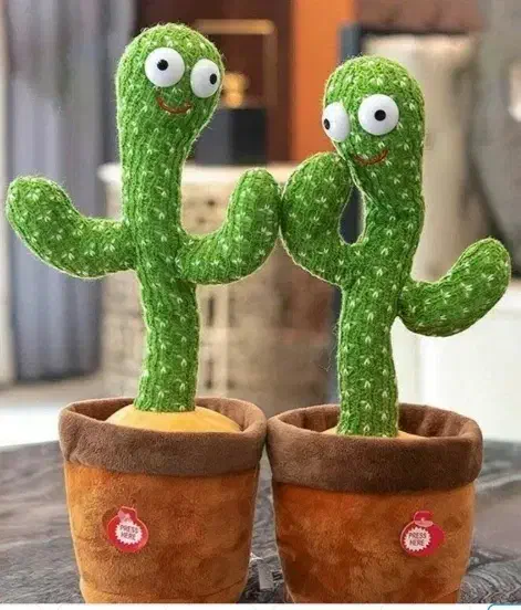 کاکتوس سخنگو|اسباب‌‌بازی|اندیمشک, |دیوار