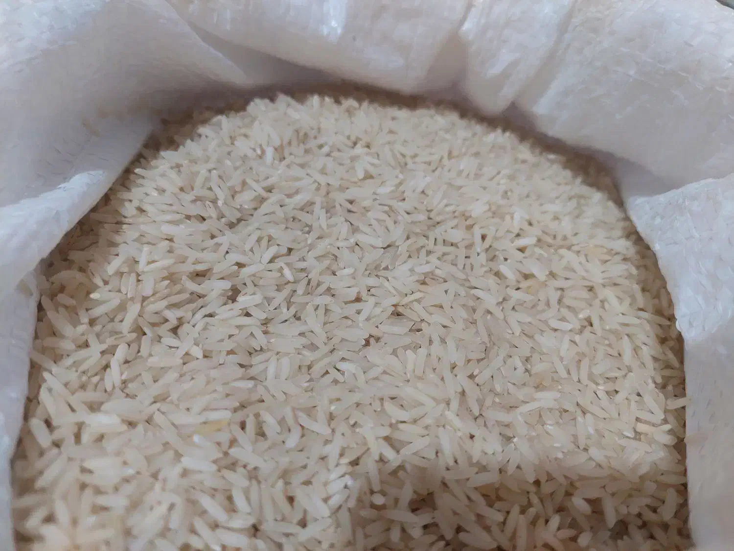 برنج طارم پارساله فوق اعلا|خوردنی و آشامیدنی|کتالم و سادات شهر, |دیوار