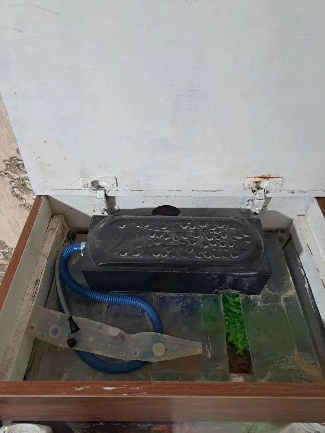 اکواریوم شیشه خم|ماهی|کرج, حیدرآباد|دیوار