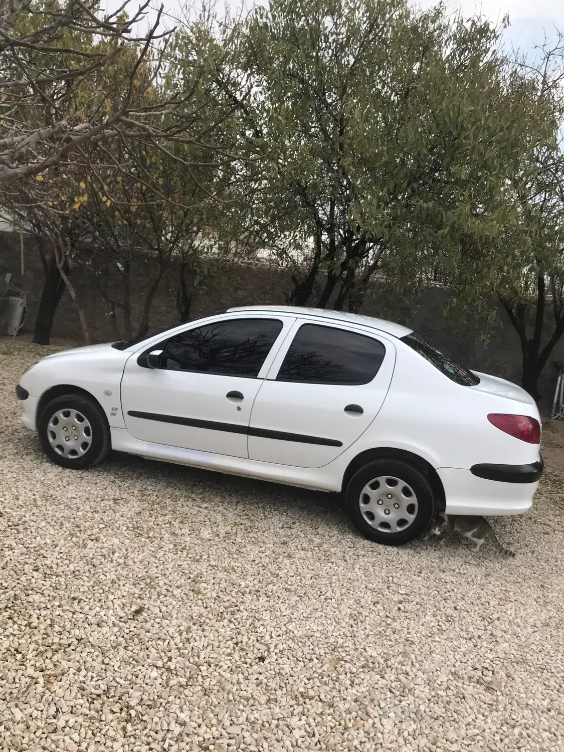 206 sd مدل 99|خودرو سواری و وانت|کرمانشاه, |دیوار