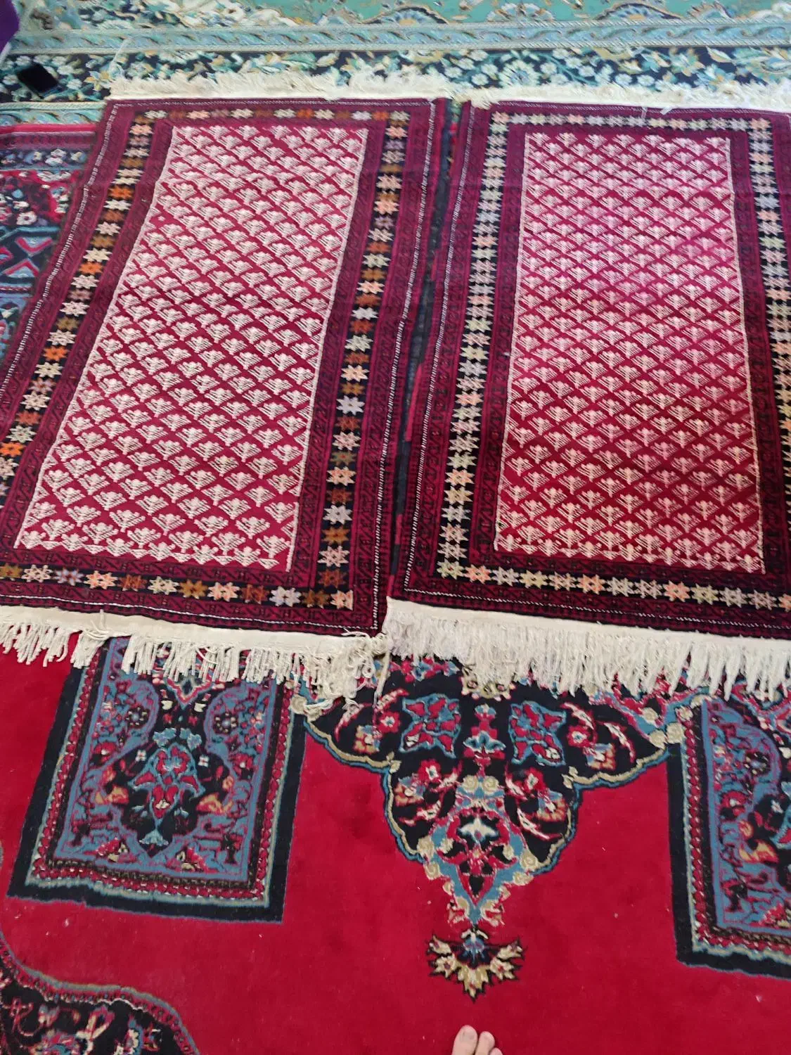 قالیچه دستباف نخ پنبه|فرش|مشهد, میان ولایت|دیوار