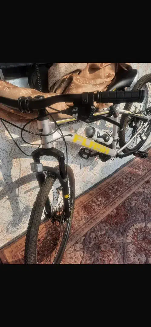 دوچرخه|دوچرخه، اسکیت، اسکوتر|رشت, شکار اسطلخ|دیوار