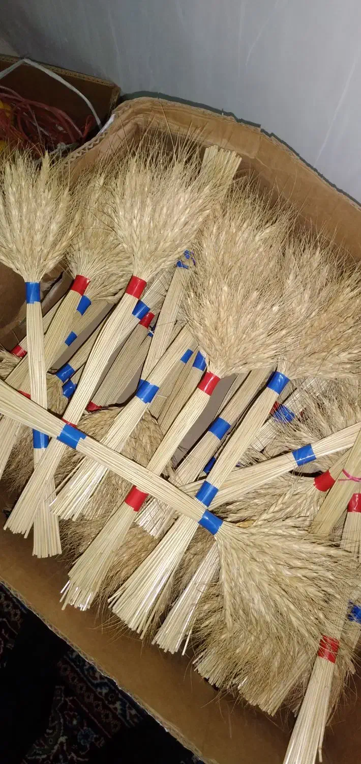 گندم طلای|گل و گیاه طبیعی|خاوران, |دیوار