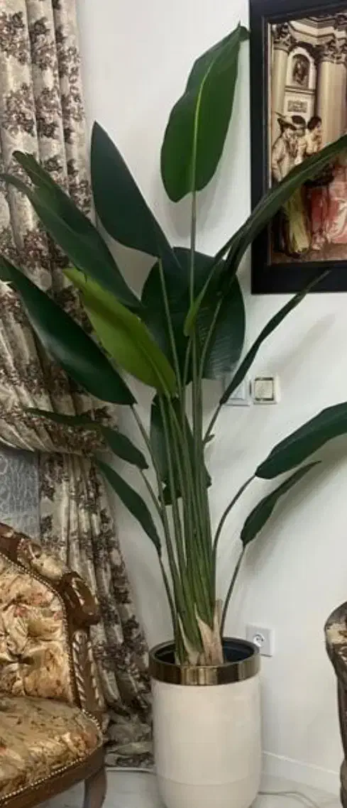 ۷۸۰۰۰۰۰|گل مصنوعی|فردیس, نسترن شرقی|دیوار