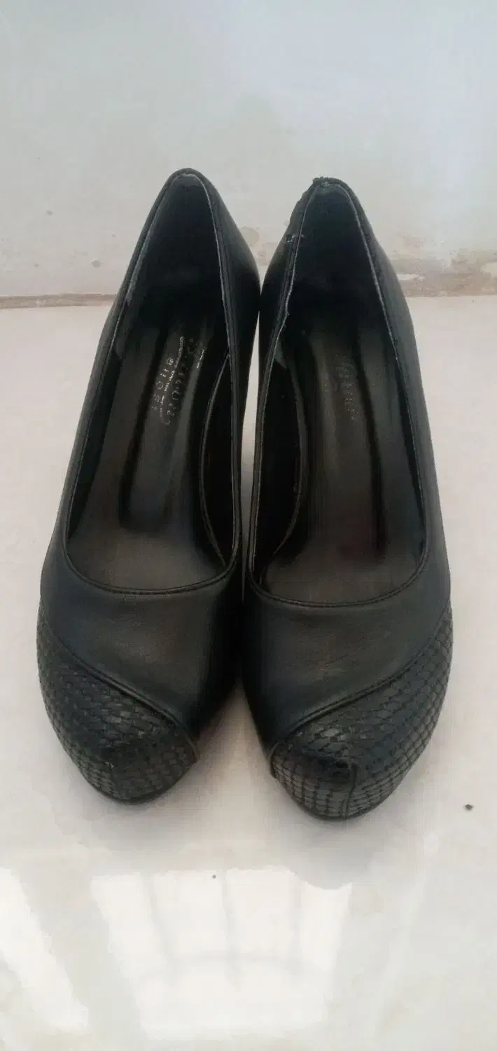 کفش|کیف، کفش، کمربند|نورآباد, |دیوار