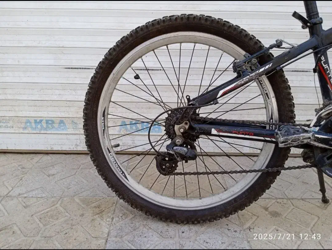 دوچرخه ویوا حرفه‌ی ۲۴|دوچرخه، اسکیت، اسکوتر|اردبیل, |دیوار