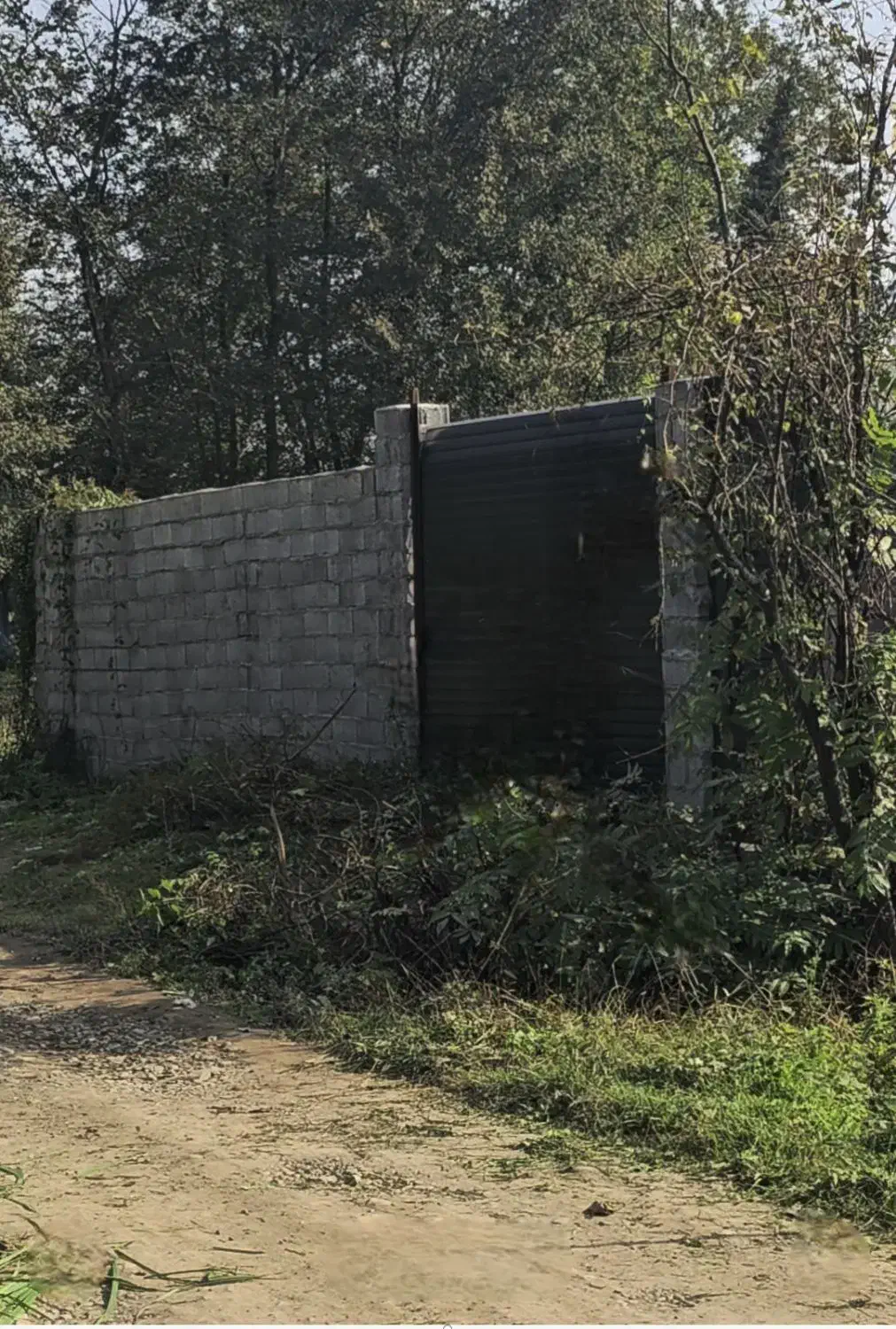 زمین مسکونی لاهیجان پروانه ساخت ویو ابدی|فروش زمین و ملک کلنگی|لاهیجان, بوجایه|دیوار