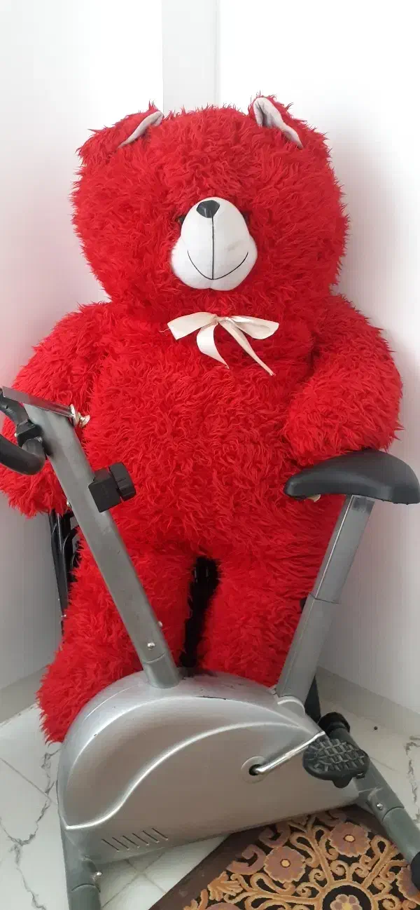 عروسک پشمالو|اسباب‌‌بازی|کرمان, |دیوار