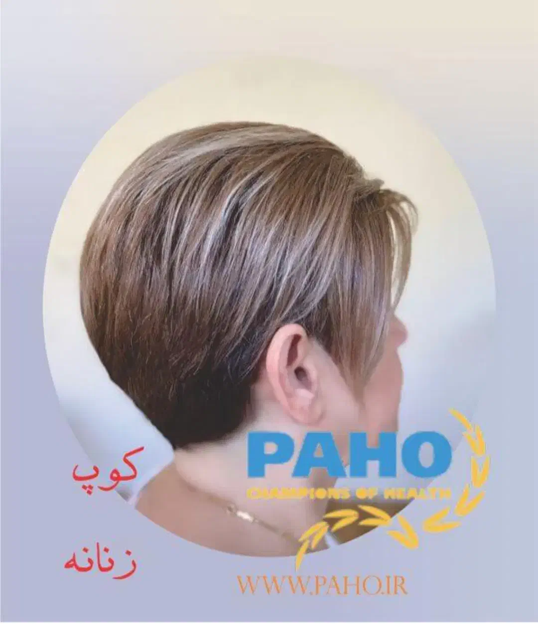 مدل کوتاهی برای مصری.گردکوتاه.کلوش|خدمات آرایشگری و زیبایی|قم, لسانی|دیوار