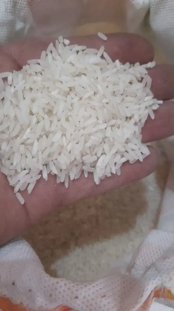 برنج پاکستانی   برنج پاکستانی        برنج پاکستانی|خوردنی و آشامیدنی|اصفهان, رزمندگان|دیوار