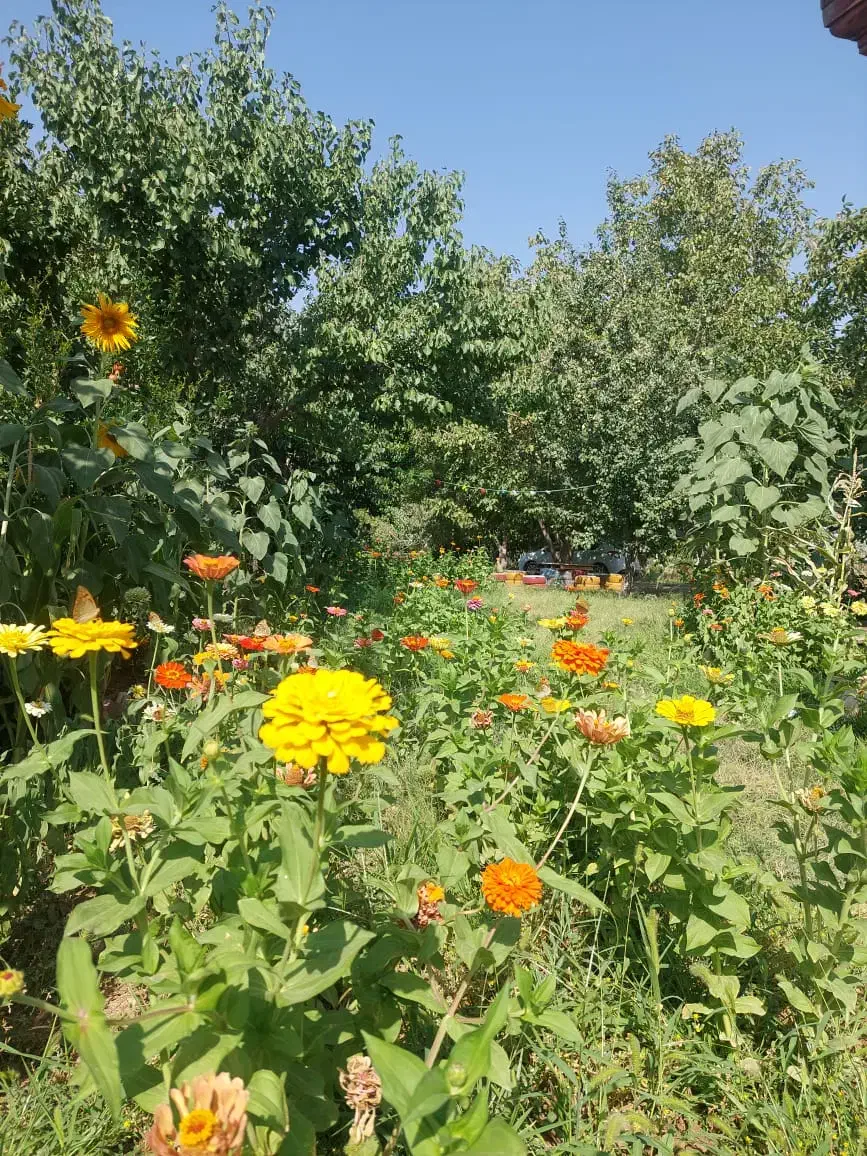 اجاره روزانه خانه باغ|اجارهٔ کوتاهمدت ویلا و باغ|ایلام, |دیوار