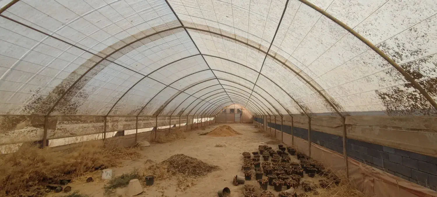 سازه گلخانه ۵۰۰ متری|مصالح و تجهیزات ساختمان|پاکدشت, پاکدشت (مامازند)|دیوار