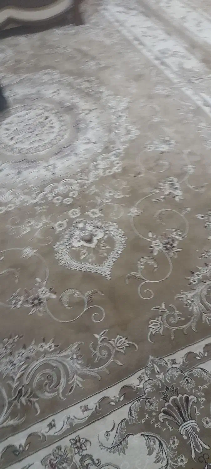 فرش|فرش|نیشابور, بنیاد شهید|دیوار