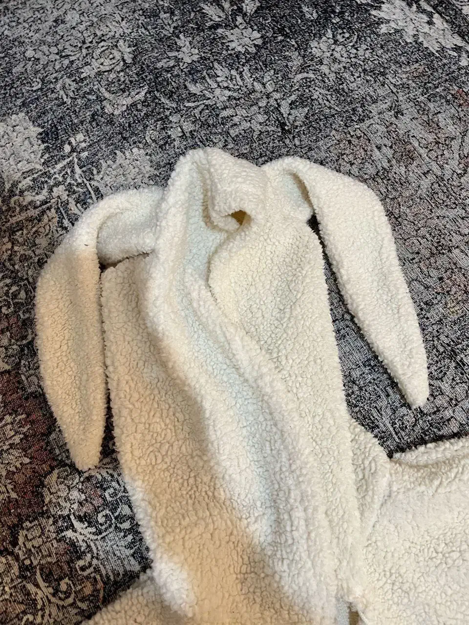 تدی کلاه دار|لباس|بندرعباس, |دیوار