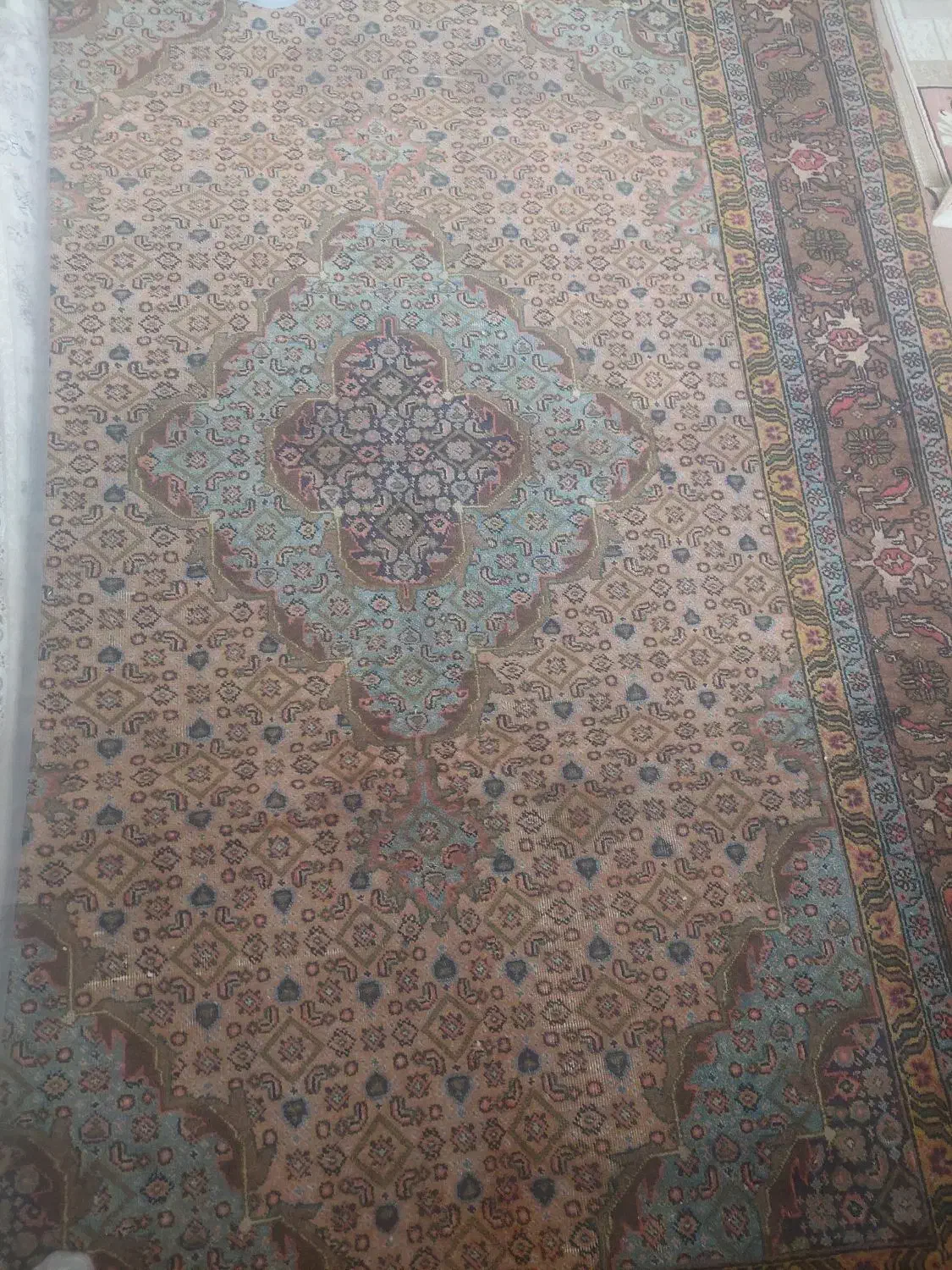 فرش ۶متری دستباف|فرش|اردبیل, |دیوار