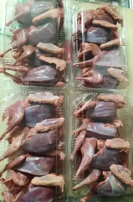 گوشت کبوتر و بلدرچین گوشتی|خوردنی و آشامیدنی|نجفآباد, امام خمینی|دیوار