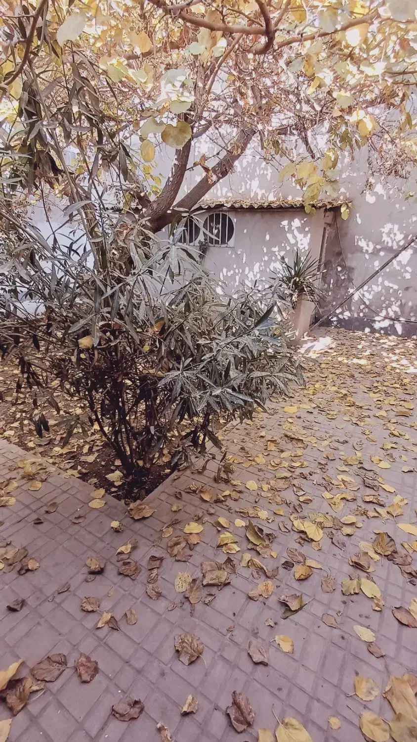 100متر ویلایی|اجارهٔ خانه و ویلا|کرج, عظیمیه|دیوار