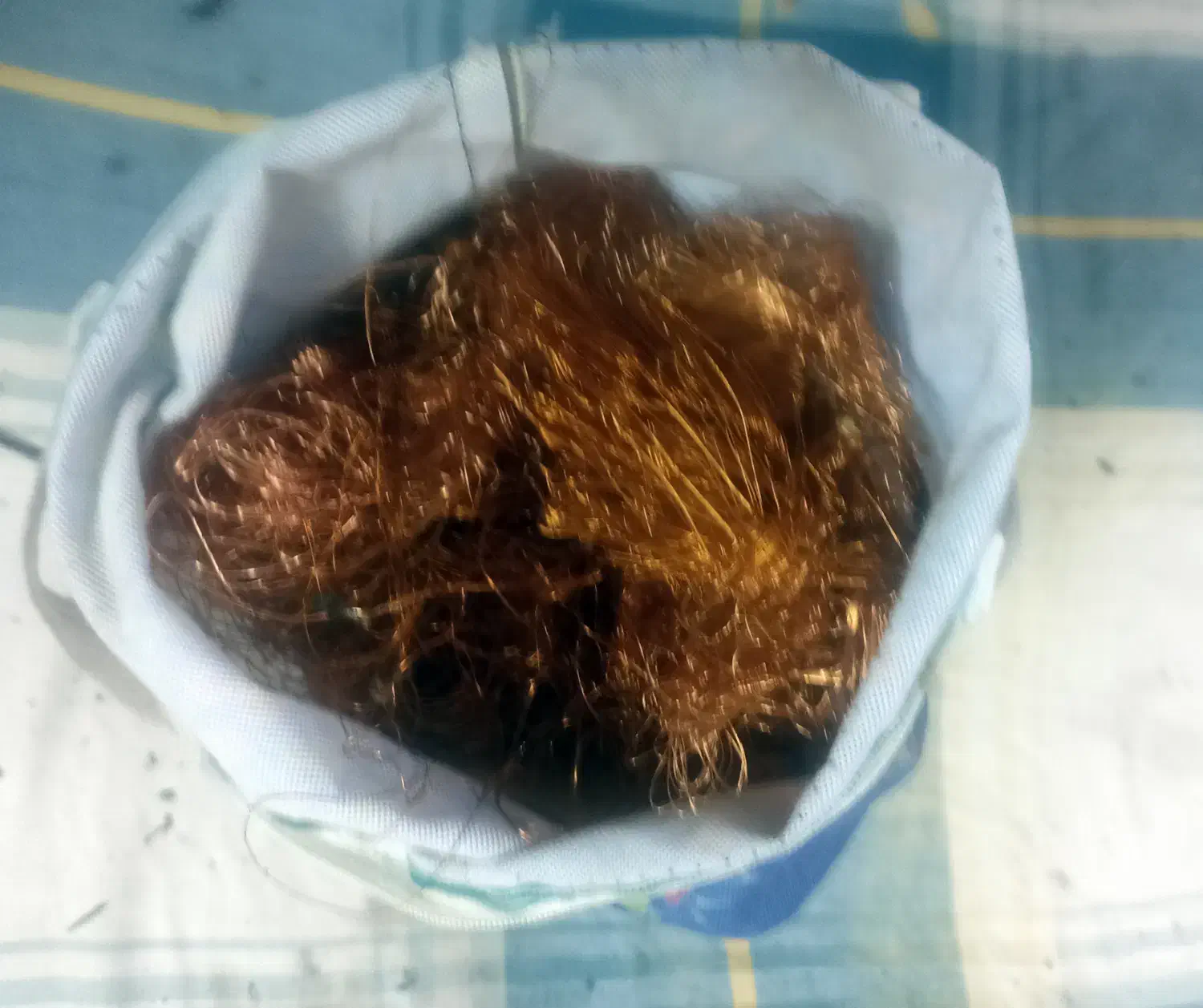 سیم مسی|مصالح و تجهیزات ساختمان|مشهد, رده|دیوار