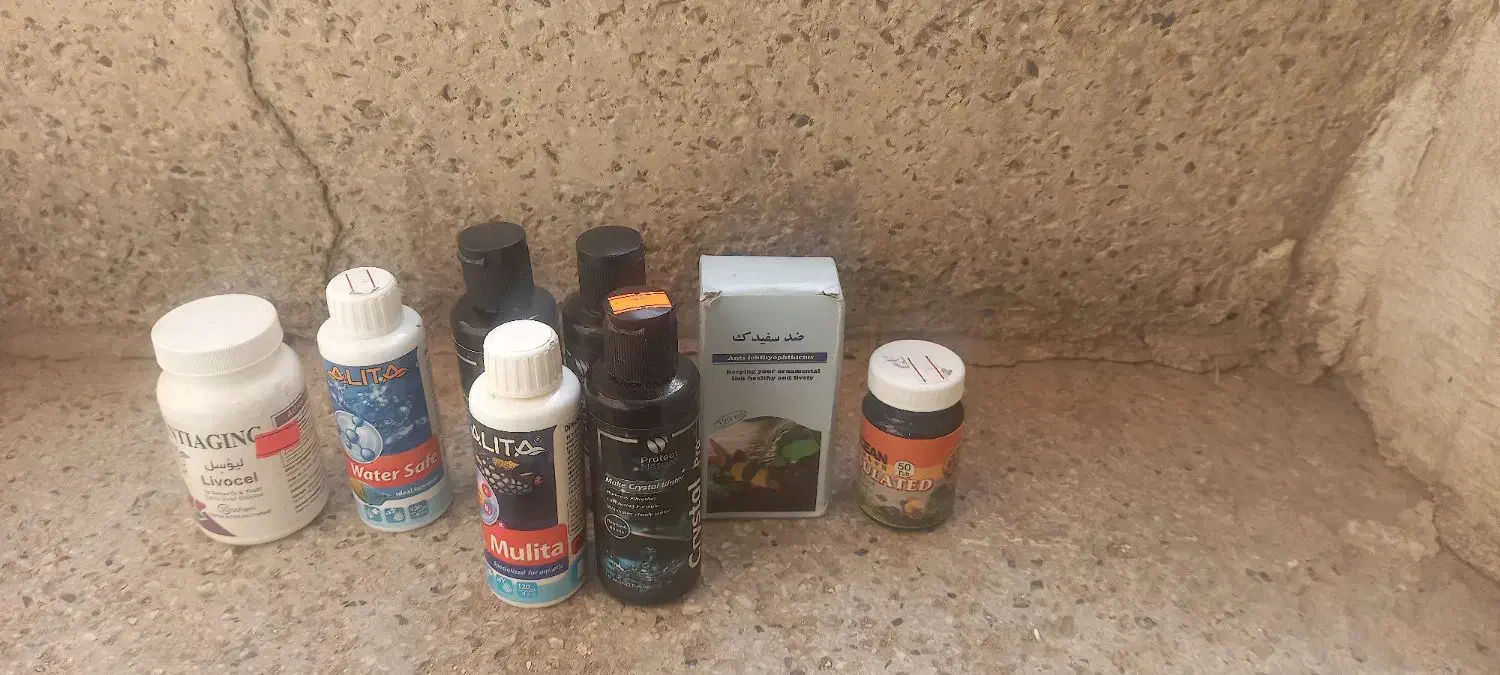 اکواریوم شرکتی همراه با ماهی|ماهی|قم, شاه ابراهیم|دیوار