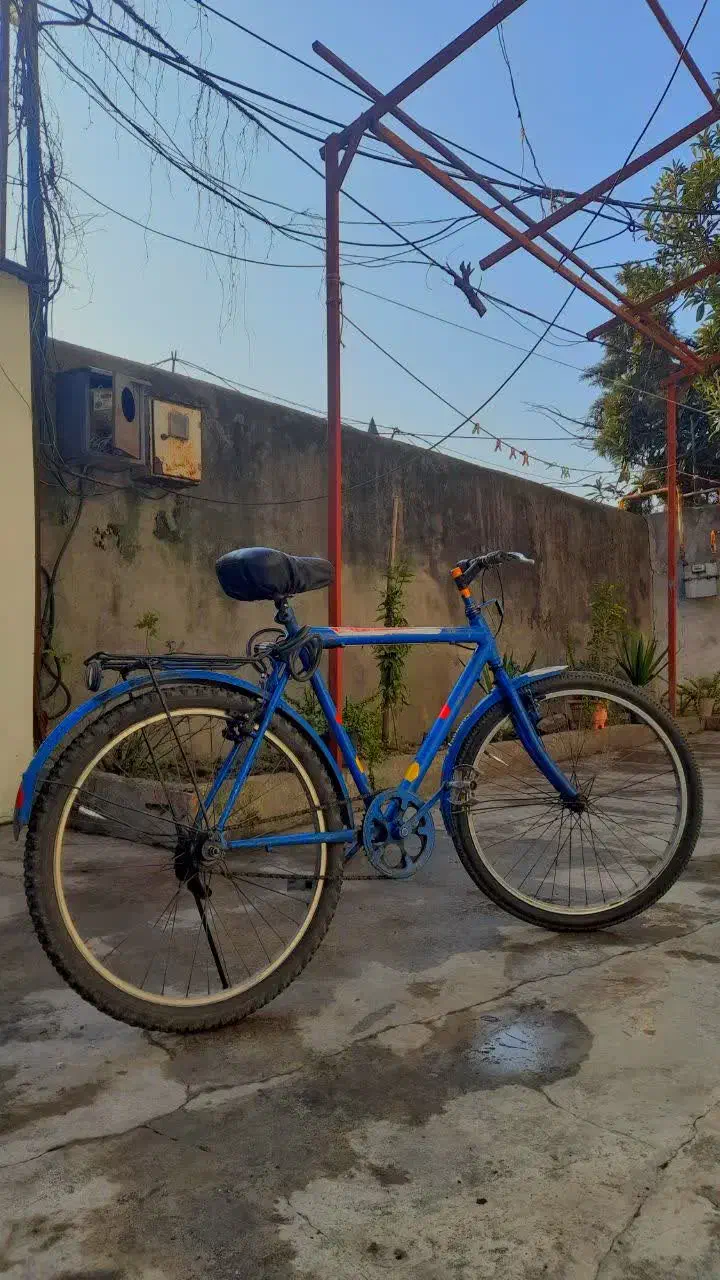 دوچرخه در حد نو سالم خوش رنگ بدون خرج|دوچرخه، اسکیت، اسکوتر|نوشهر, |دیوار