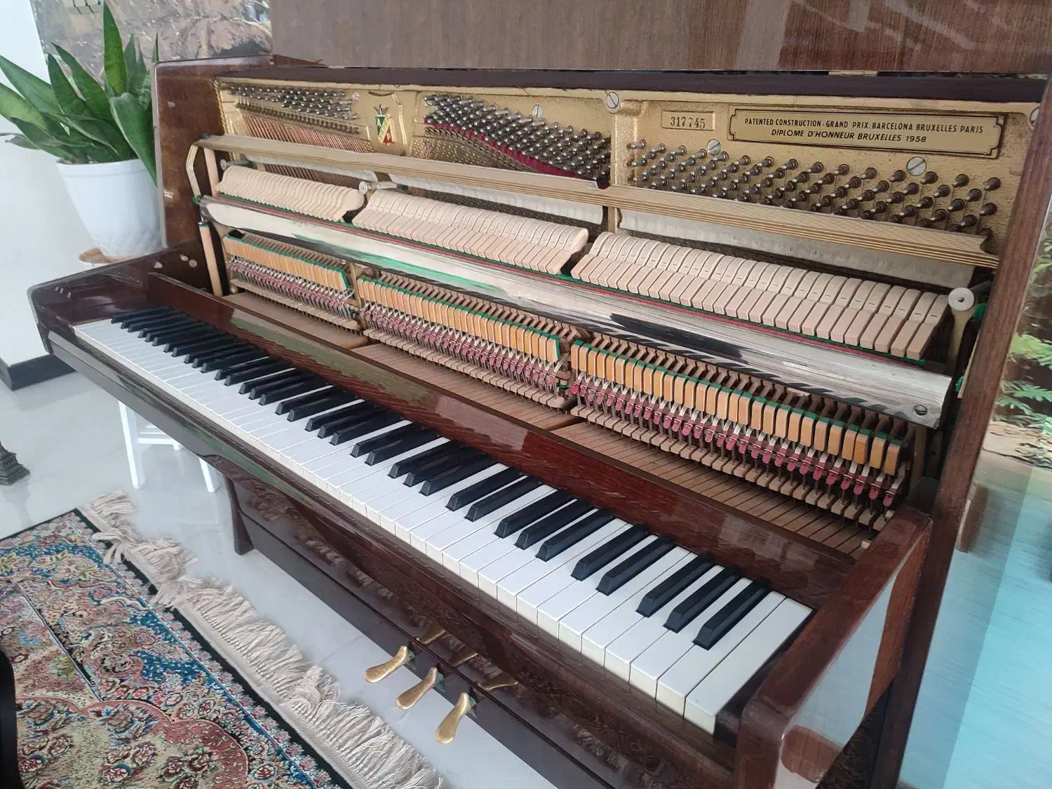 پیانو آکوستیک پتروف PETROF ساخت چک|پیانو، کیبورد، آکاردئون|فردیس, فردیس|دیوار