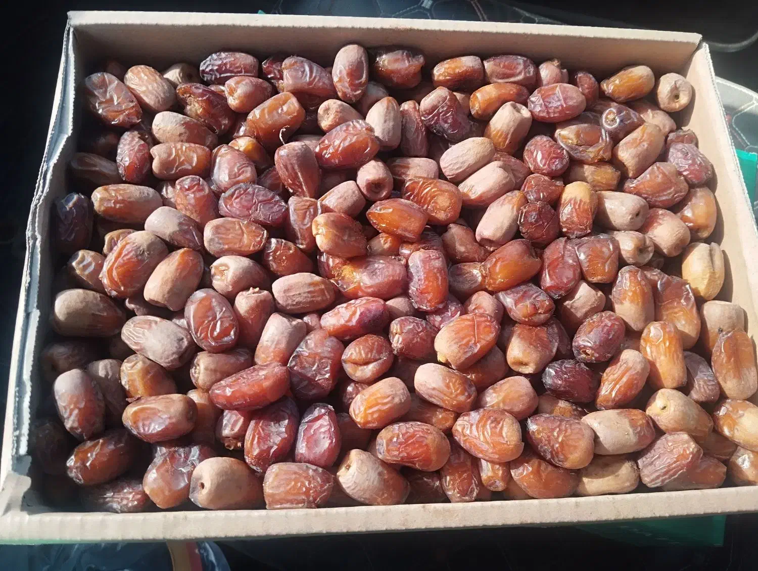 خرما پوپو|خوردنی و آشامیدنی|مهرستان, |دیوار