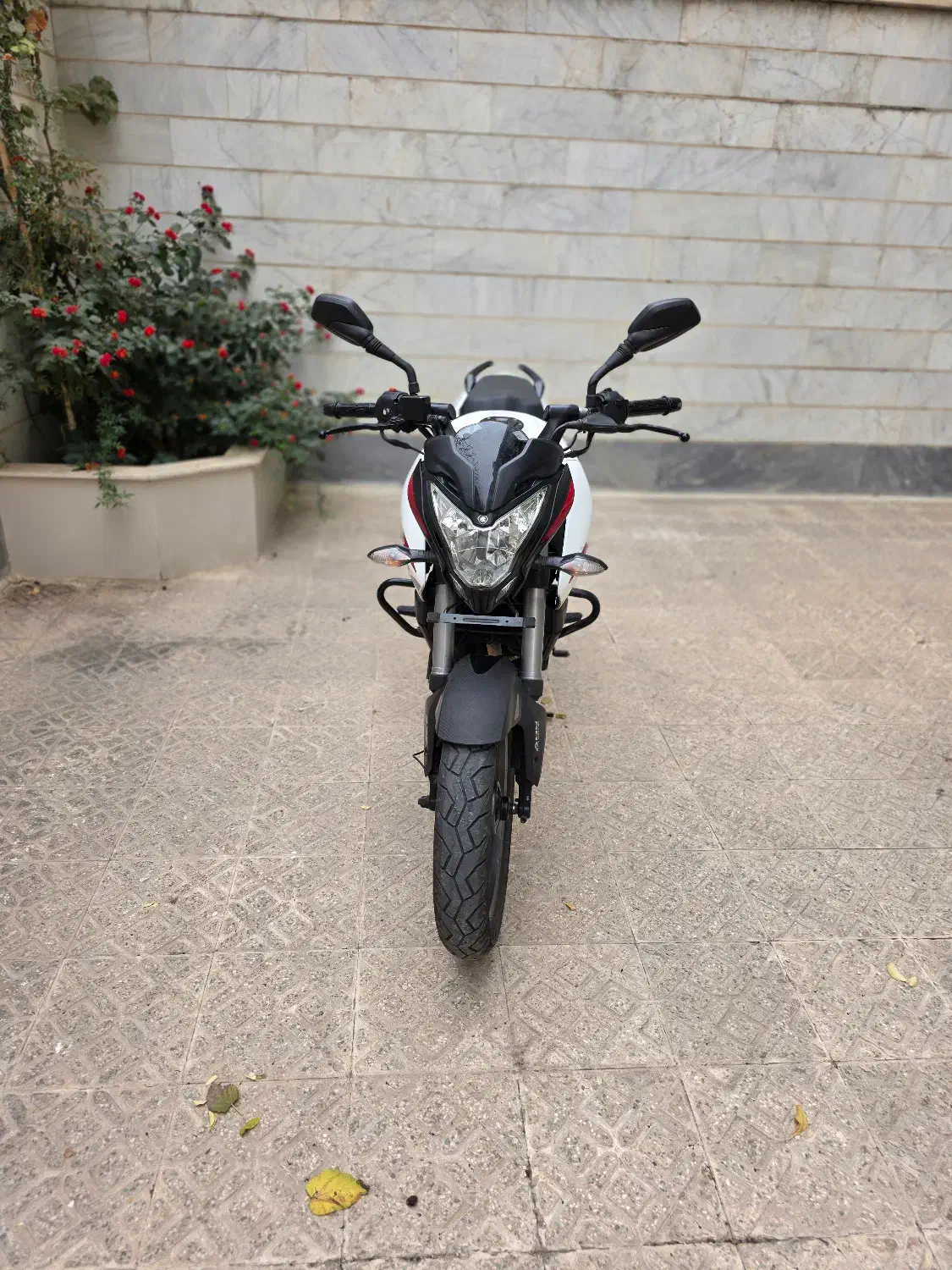 موتور سیکلت ns200 مدل ۱۴۰۳|موتورسیکلت|تهران, مهران|دیوار