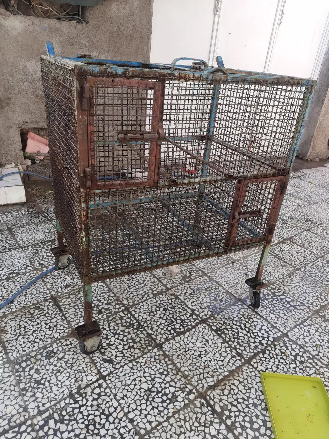 جامرغی بزرگ|لوازم جانبی حیوانات|دهدشت, |دیوار