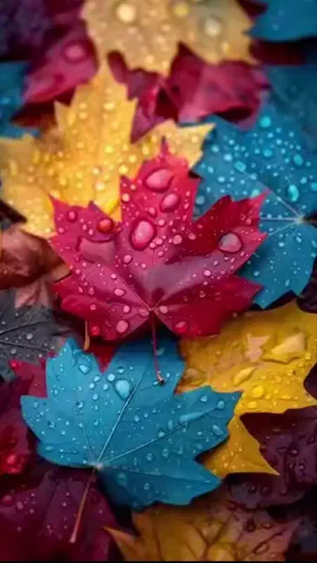 راهنمایی|فعالیت داوطلبانه تحقیقاتی|نیشابور, شهرک قدس|دیوار