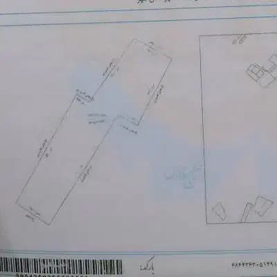 فروش زمین نخلستان|فروش زمین و ملک کلنگی|مهر, |دیوار