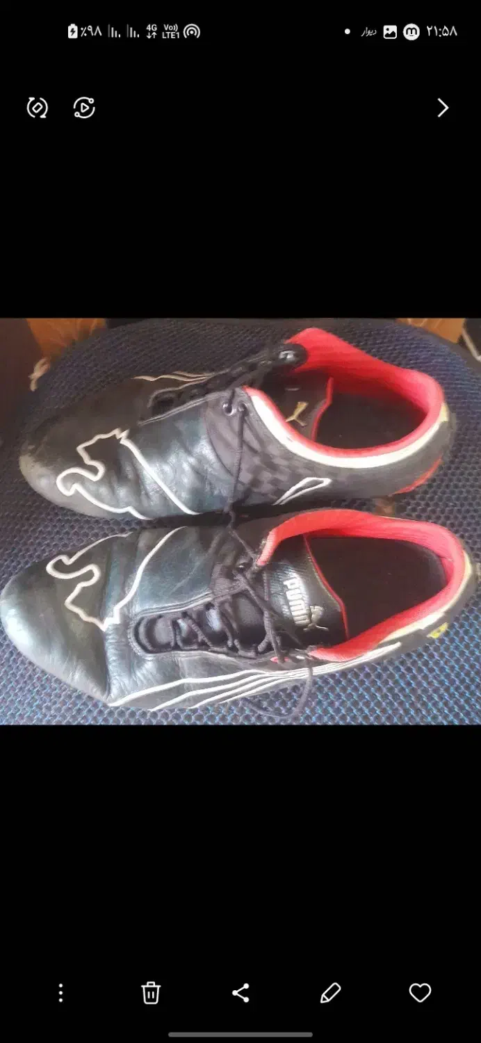 کفش فوتسال|کیف، کفش، کمربند|گرگان, |دیوار