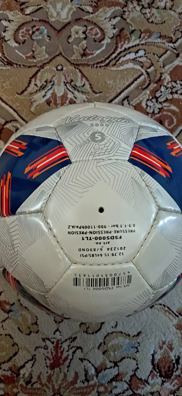 توپ|ورزش‌های توپی|مرودشت, فاز دوم شهرک فرهنگیان|دیوار