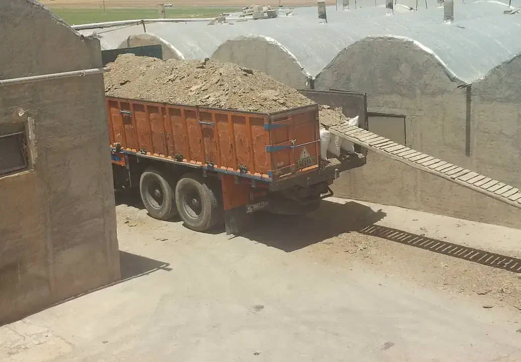 کود مرغی سالنی|گل و گیاه طبیعی|دهگلان, |دیوار