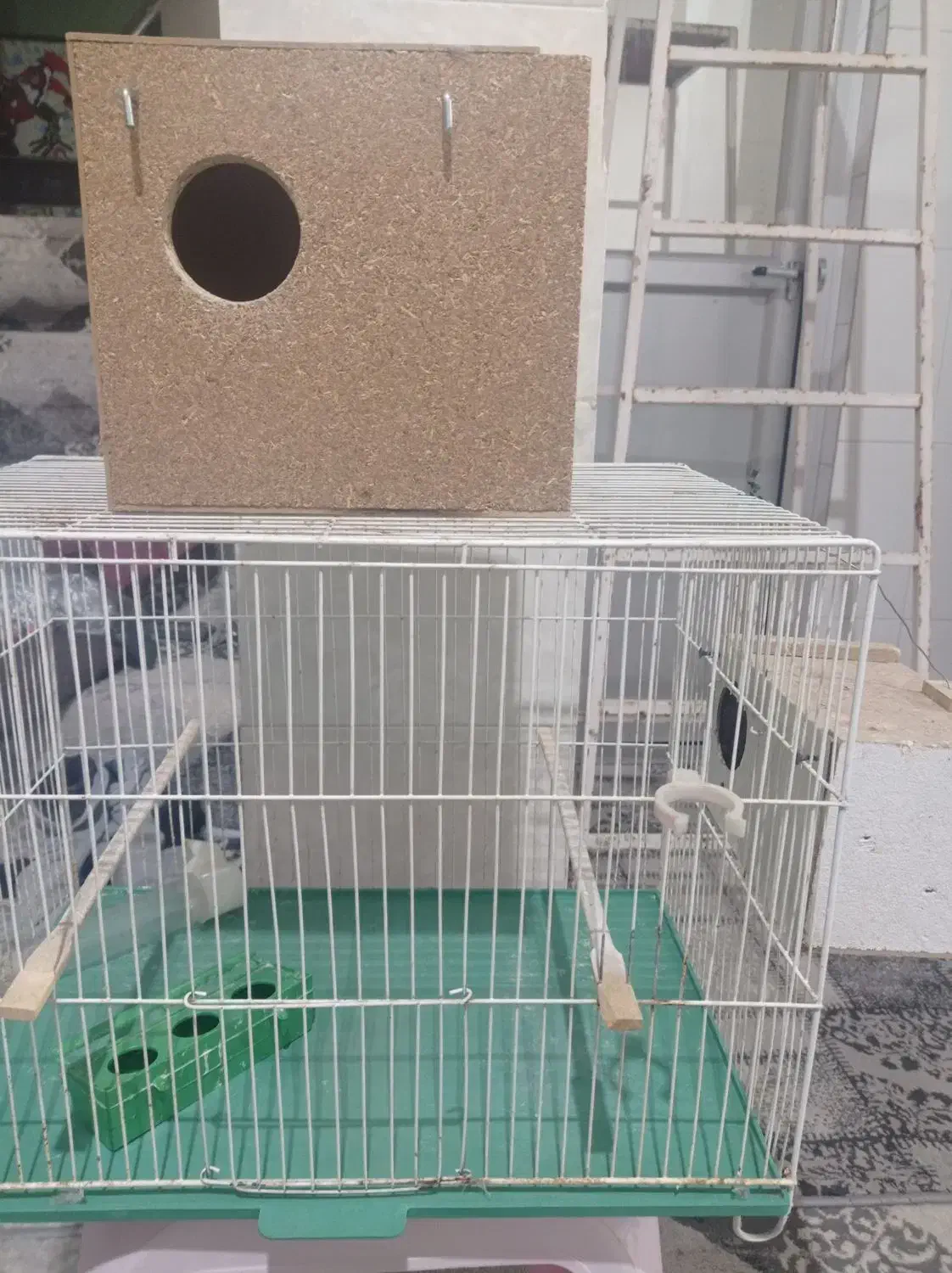 قفس با لونه کوتوله|لوازم جانبی حیوانات|اردکان, |دیوار