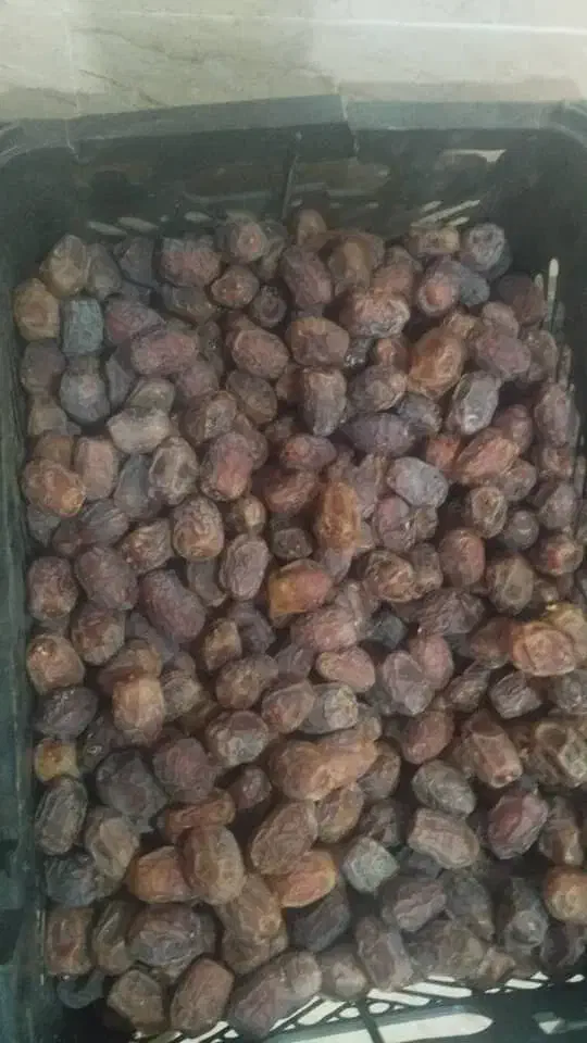 هلیله با کیفیت عالی|خوردنی و آشامیدنی|لار, |دیوار