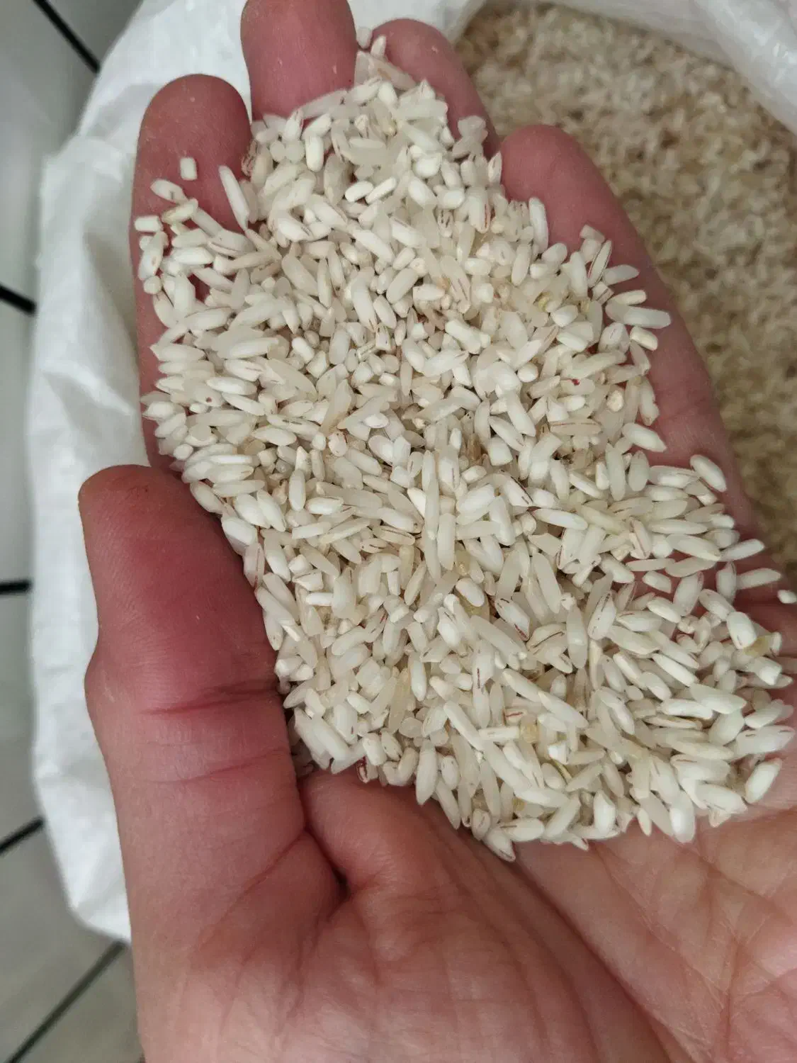 لاشه برنج چمپا|خوردنی و آشامیدنی|رشت, لاکان شهر|دیوار