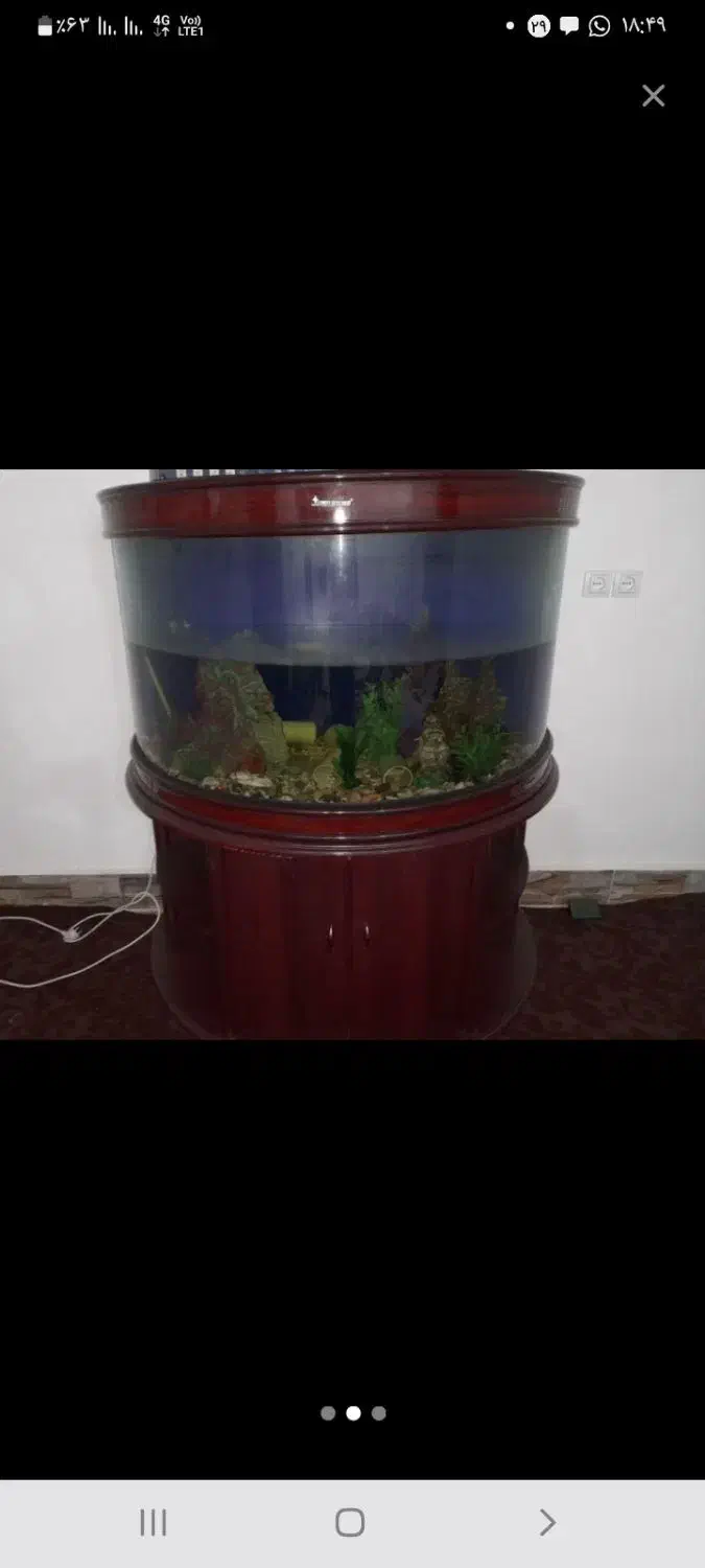 اکواریوم نیم دایره وارداتی بسیار زیبا|ماهی|هندیجان, |دیوار