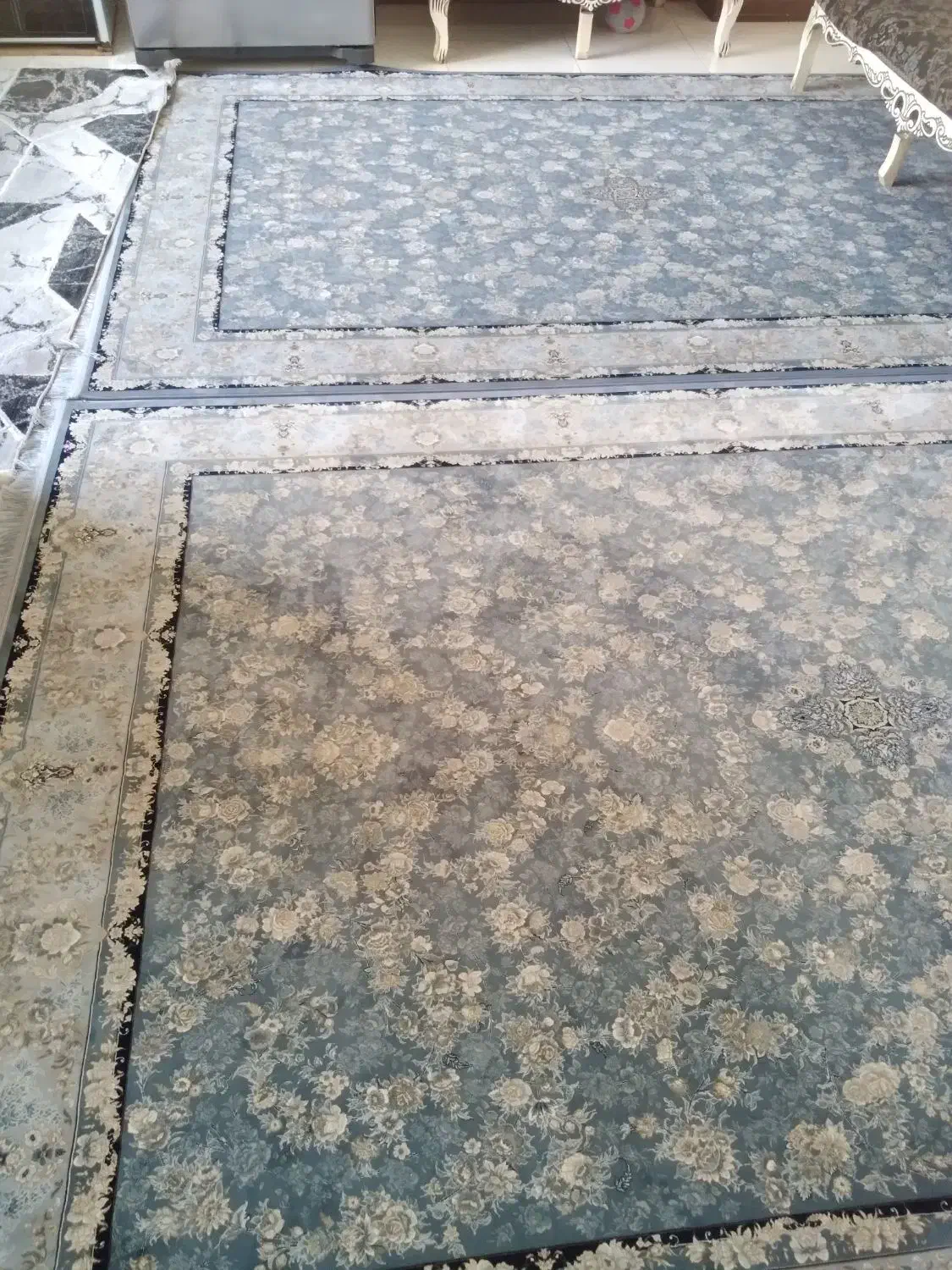 فرش|فرش|تهران, خلیج فارس|دیوار