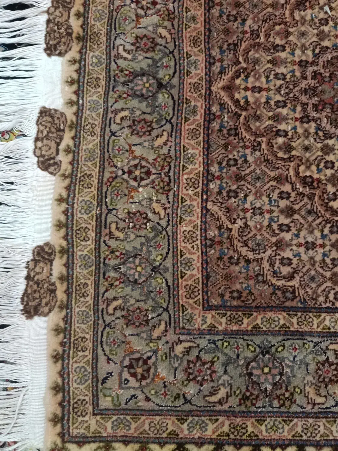 قالیچه فرش دستباف|فرش|کرمانشاه, |دیوار