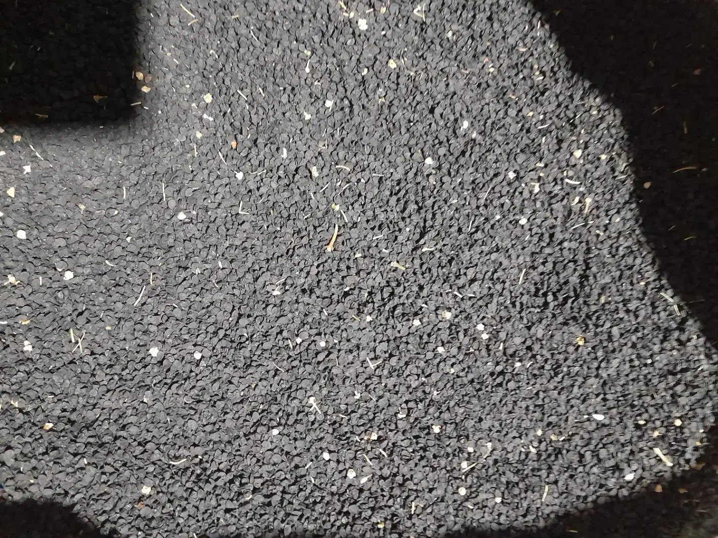 بذرپیاز‌قرمز|خدمات باغبانی و درختکاری|ملکان, |دیوار