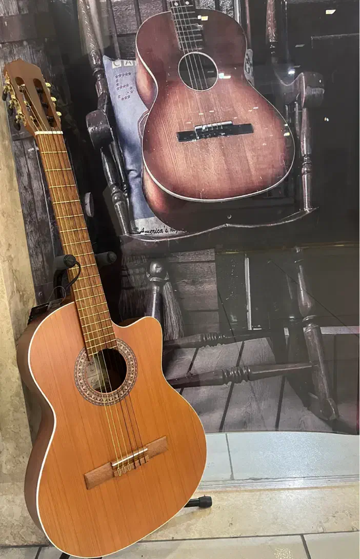 گیتار پارسی m5 با گارانتی|گیتار، بیس، امپلیفایر|تبریز, |دیوار