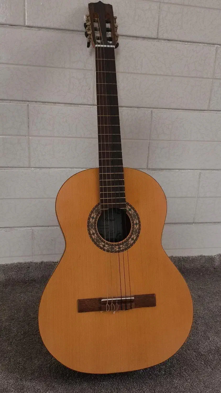 گیتار|گیتار، بیس، امپلیفایر|کازرون, |دیوار