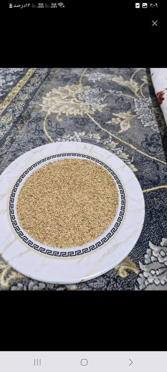 ارزن|حیوانات مزرعه|شیراز, نیستان|دیوار