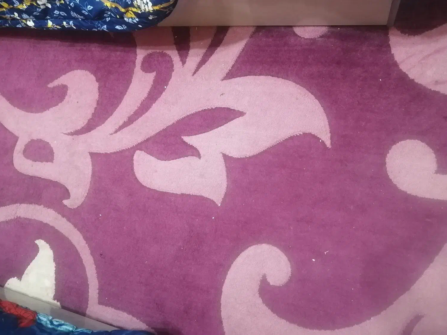 فرش 2/3|فرش|کرمان, |دیوار